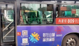 重庆公交圈爆料最新消息,揭秘重大交通事件背后真相