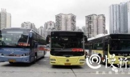 重庆公交圈爆料最新消息,揭秘重大交通事件背后真相