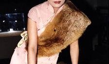 深圳福田孙小姐最新爆料,揭秘孙小姐惊人内幕！