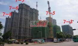 石家庄近期爆料汇总最新,聚焦城市热点事件与民生焦点