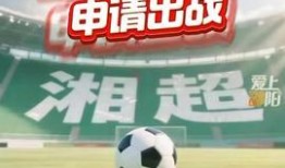 邵阳头条最新爆料,重大事件背后真相揭晓！