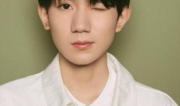 王源爆料贴吧最新消息,揭秘娱乐圈不为人知的幕后故事