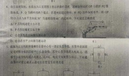 蓉妈最新消息爆料是真的吗,真相揭秘，可信度分析