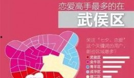 今日头条四川爆料视频最新,揭秘神秘事件背后的真相！