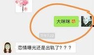 桃式最新爆料,揭秘娱乐圈幕后真相