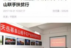岳阳市最新爆料新闻报道,揭秘重大事件背后真相